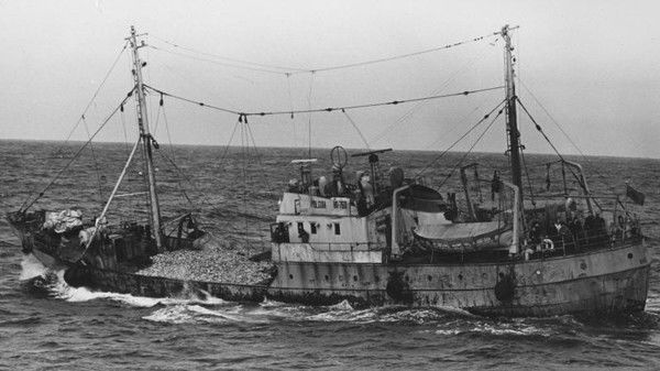 Есаул Сахалинский