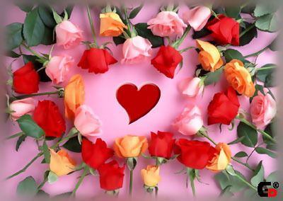 Жазира *******