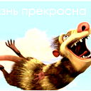 Родика Ц