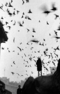 Алина Переродова