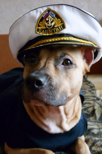 Олег Шейкин