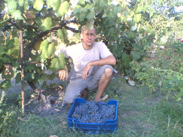 Евгений Беляков