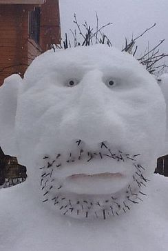 Никола Трухин