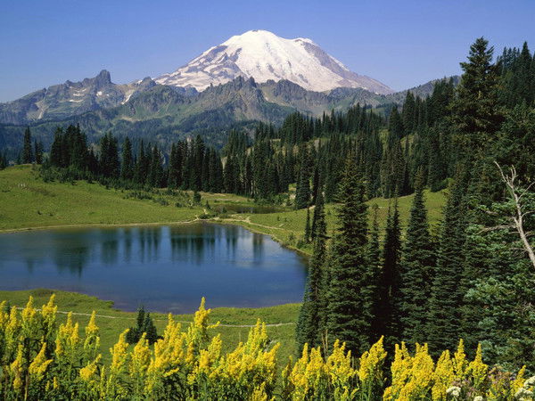 Александр Баранов