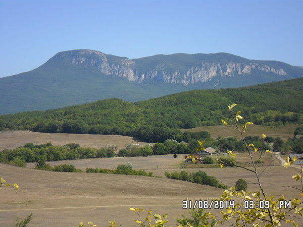 Екатерина Голоденко