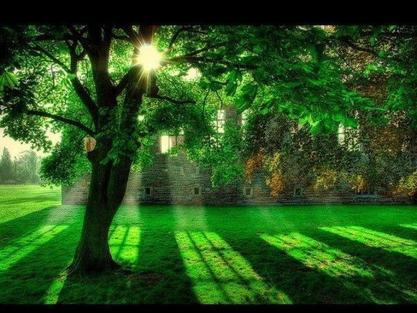 Абдуллах Даткаев!!!