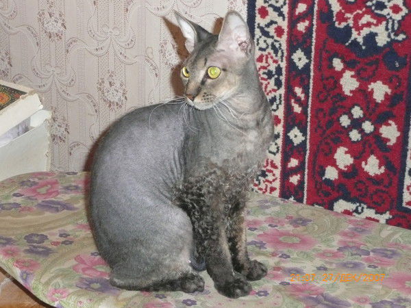 Оксана Москвинова