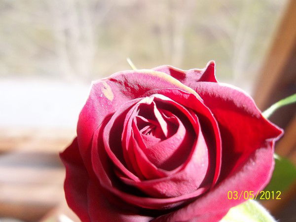 Руслан Ширинов