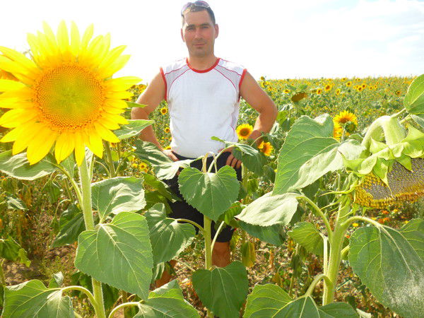 Дмитрий Белоусов