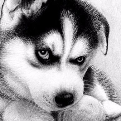 Анастасия Рочева