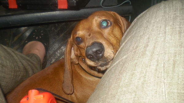 Мария Андреева