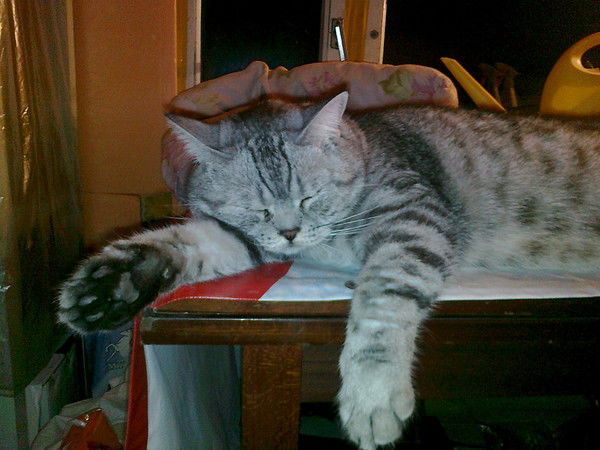 Людмила Муратова