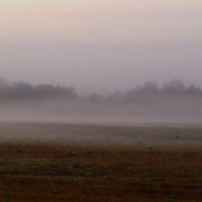 Дима Беседин