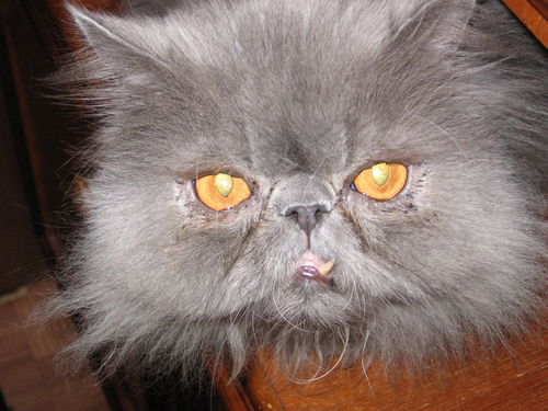 Владимир Валерьевич