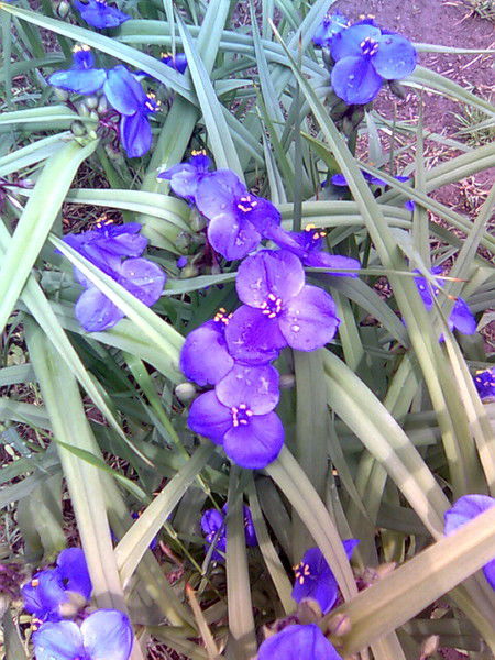 Наталья Рымшева