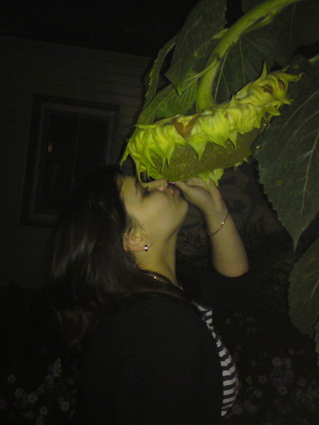 *** Настенька***