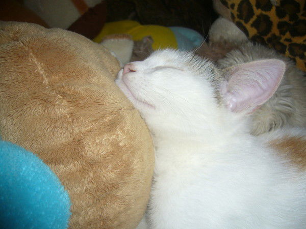 Екатерина Темирова