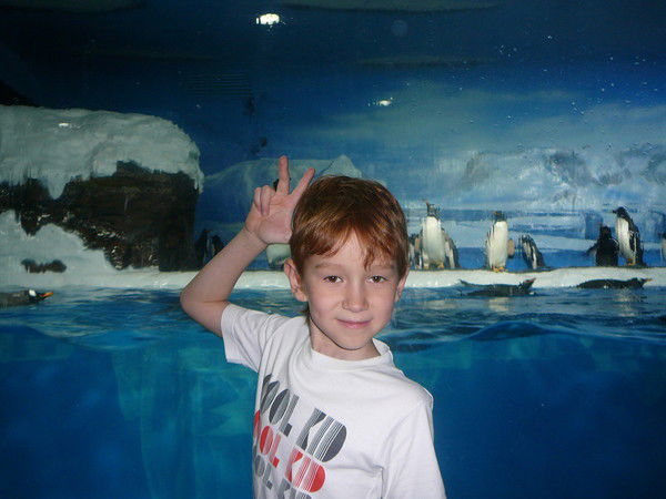 Никита Казанцев