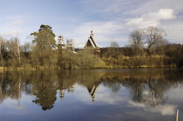 Лариса Гнед