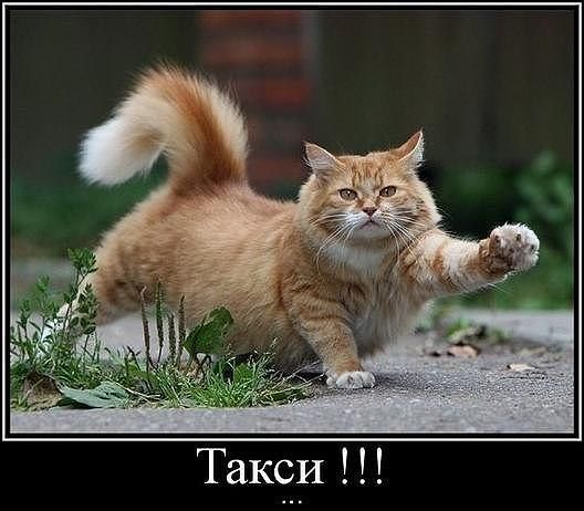 Игорь Пилипенко