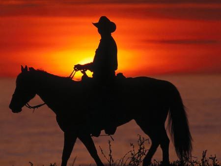 Александр Кузнецов