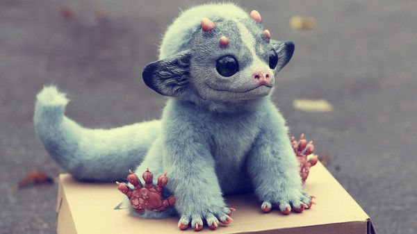 Санек Звуков