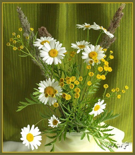 Рамиля Абдрашитова