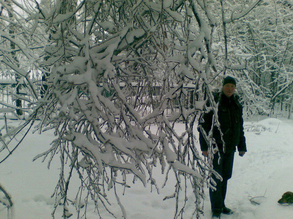 Владимир Шишкин