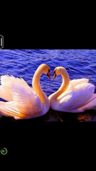 Елена Кириллова