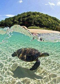 Кызайым Байзакова