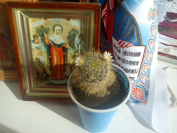 Оксана Кукарина