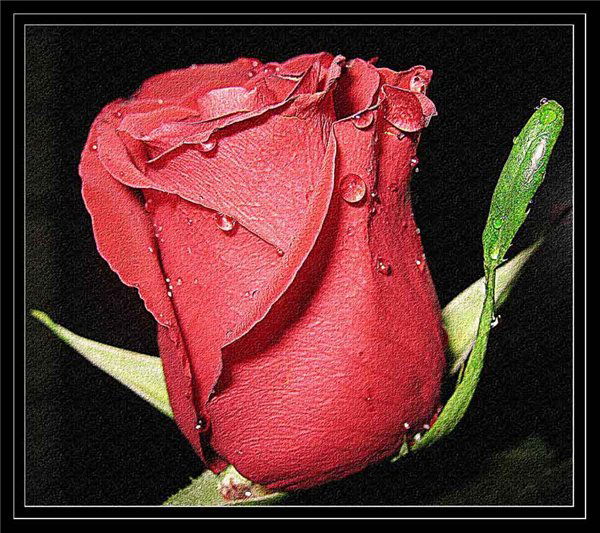 Гульназ Бабатаева