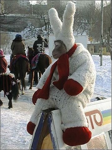 Вадим Соляной