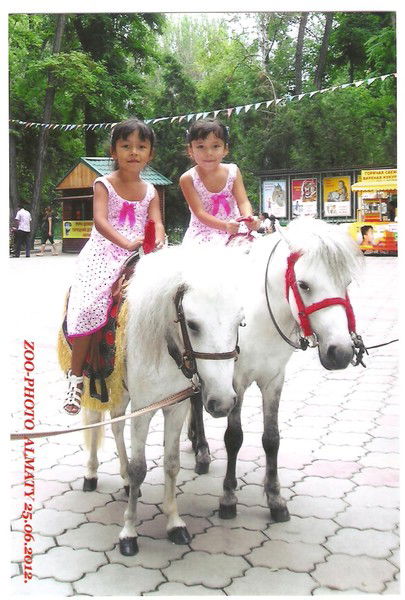 Айгерим Даубаева