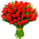 Жан Джамалова