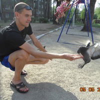 Максим Локтионов