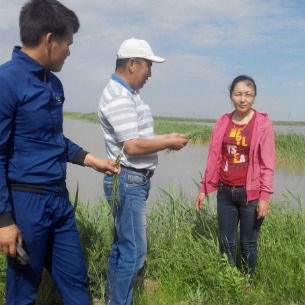 Жалагаш Фито Кызылординская Область