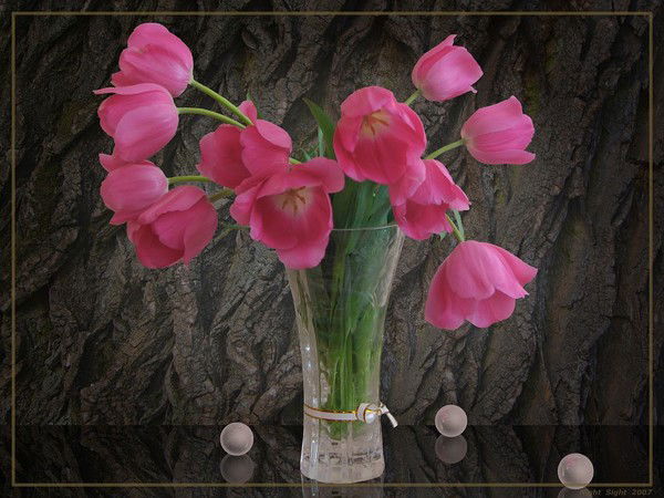 Светлана Пименова