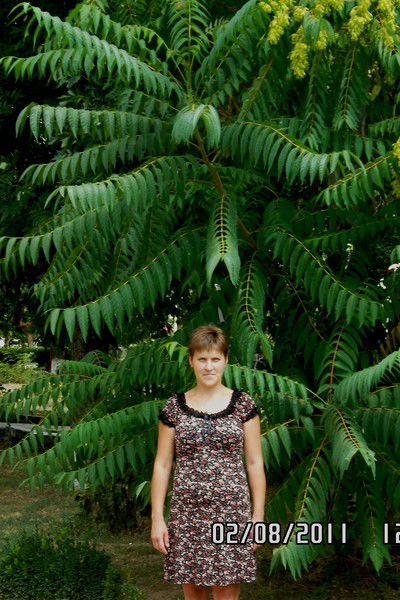 Наташа Жданова