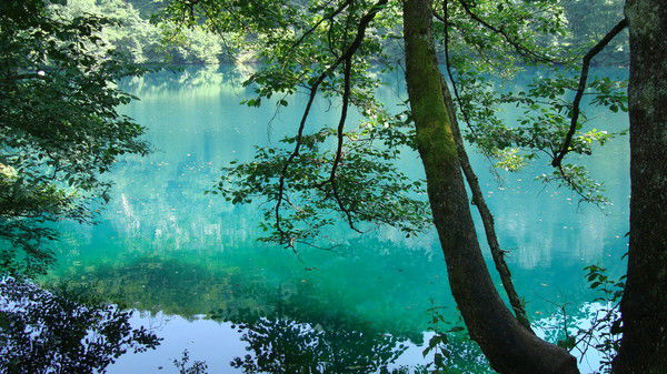 Татьяна Худолей