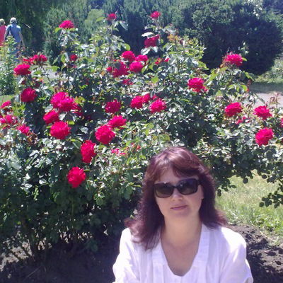 Нина Шелест