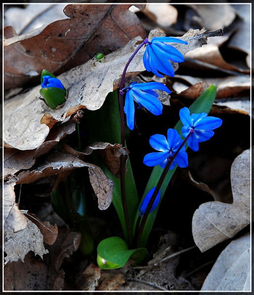 Наталья Никиташина