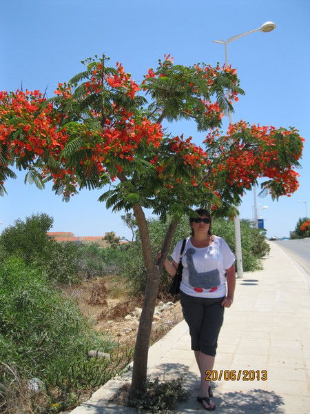 Евгения Перепечкина