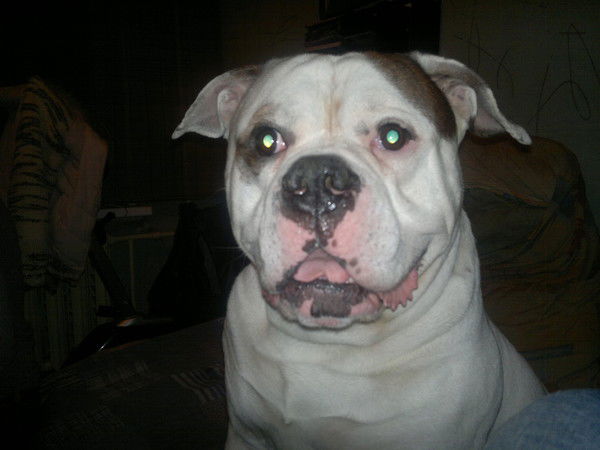 Марат Гильмутдинов