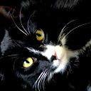 Олег Трофимов