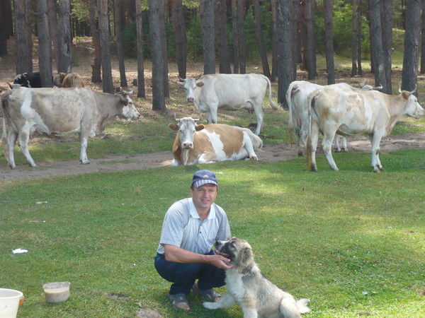 Александр Соловцов