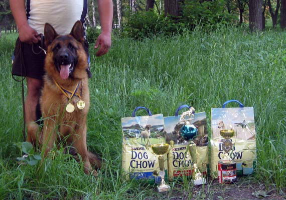 Сергей Новиков