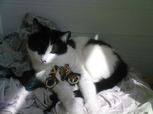 Наталия Стародубцева