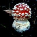 Ksl Ksl