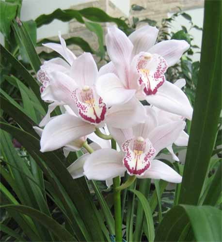 Евгения Флиорчук